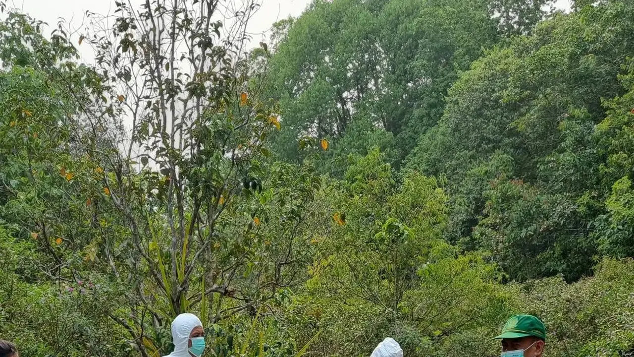 Gajah Dugul, ditemukan dalam kondisi mati di TNWK, Lampung. Foto (Dokumen TNWK)