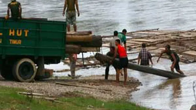 Kayu Gelondongan