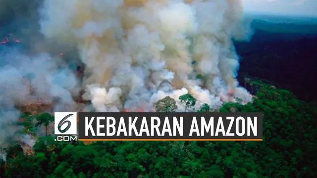 VIDEO: Dampak Global Akibat Kebakaran Amazon