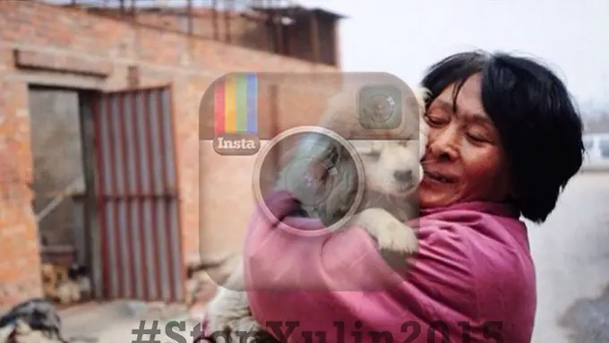 #StopYulin2015, Kampanye Cinta Hentikan Festival Yulin di China