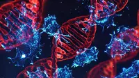 Deteksi DNA kanker yang bermutasi akan memudahkan pengobatan. (Ilustrasi: Science News Journal)