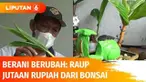 Tak mau hanya berdiam diri, Puji Hartono memilih menikmati hari tuanya dengan membuat bonsai kelapa ukir. Ketika pandemi datang, tak disangka hobinya ini bisa menjadi bisnis yang mendatangkan rezeki berlimpah.