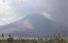 Aktivitas Gunung Lewotobi Laki-laki Masih Tinggi, Tercatat Puluhan Gempa Letusan dalam Sehari!