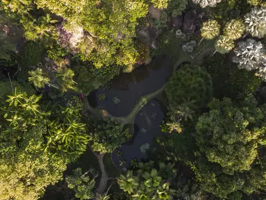 Pemandangan udara dari situs Roberto Burle Marx, yang masuk kedalam daftar situs warisan dunia UNESCO, di Rio de Janeiro, Brasil, pada 27 Juli 2021. Situs tersebut diketahui memiliki sekitar 3.500 spesies tumbuhan, dengan mayoritas tanaman tropis asli Rio. (AP Photo/Mario Lobao)