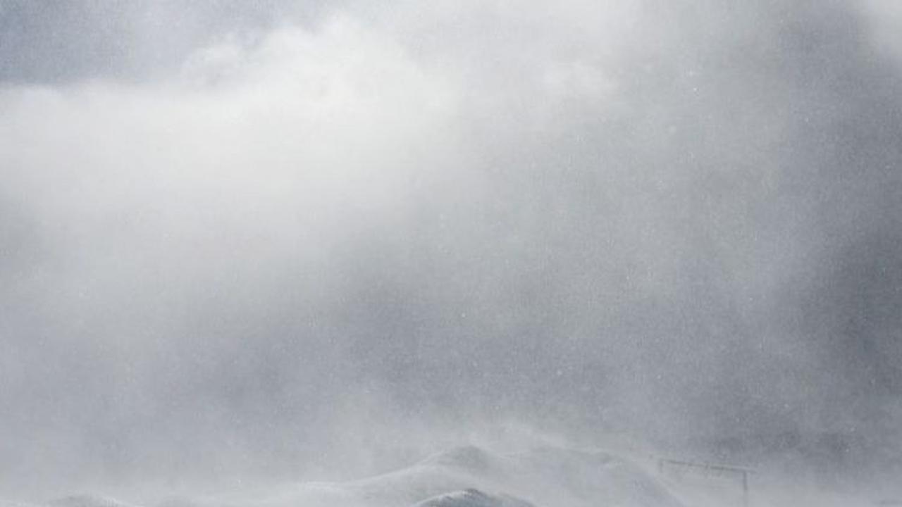 Salah satu alasan yang paling dikenal adalah kondisi cuaca yang sangat dingin sehingga membuat nyamuk tak dapat berkembang biak. Islandia sendiri memiliki titik beku mencapai -38 derajat celsius.