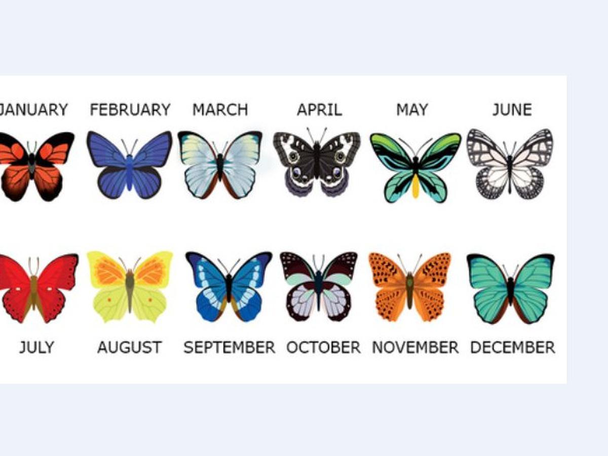 Что символизирует бабочка
