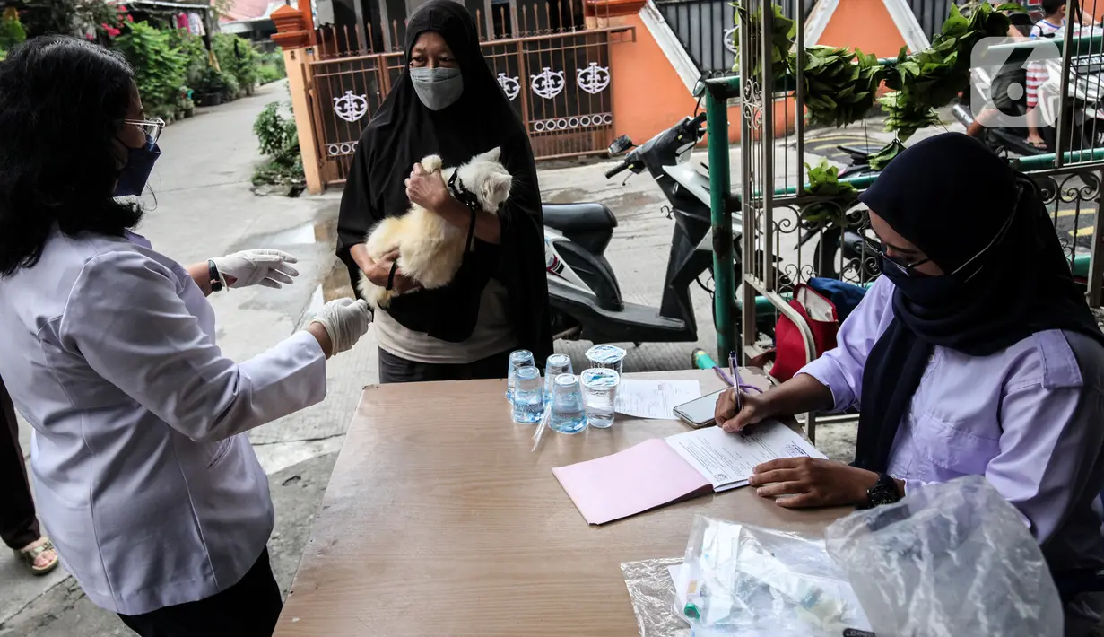 Warga membawa hewan peliharaanya untuk disuntik rabies di Jakarta, Rabu (27/10/2021). Vaksin rabies untuk hewan peliharaan warga berupa kucing dan anjing ini merupakan program Pemda untuk menjadikan kota Jakarta menjadi ramah hewan atau tanpa rabies. (Liputan6.com/JohanTallo)
