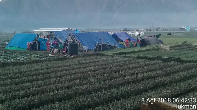 Posko pengungsian di tengah sawah di Desa Sembalun, Lombok (Lukman)