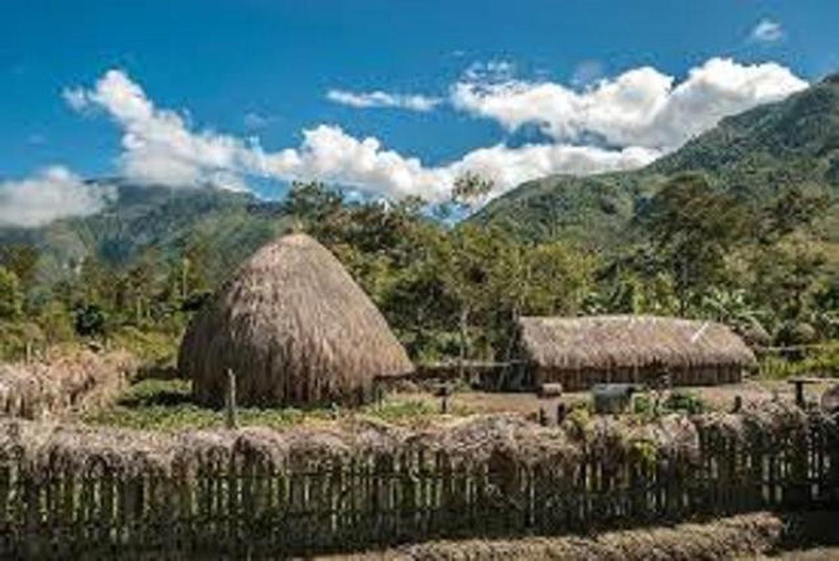 3 Rumah Adat Papua Selatan, Simak Penjelasan Arsitektur dan Fungsinya