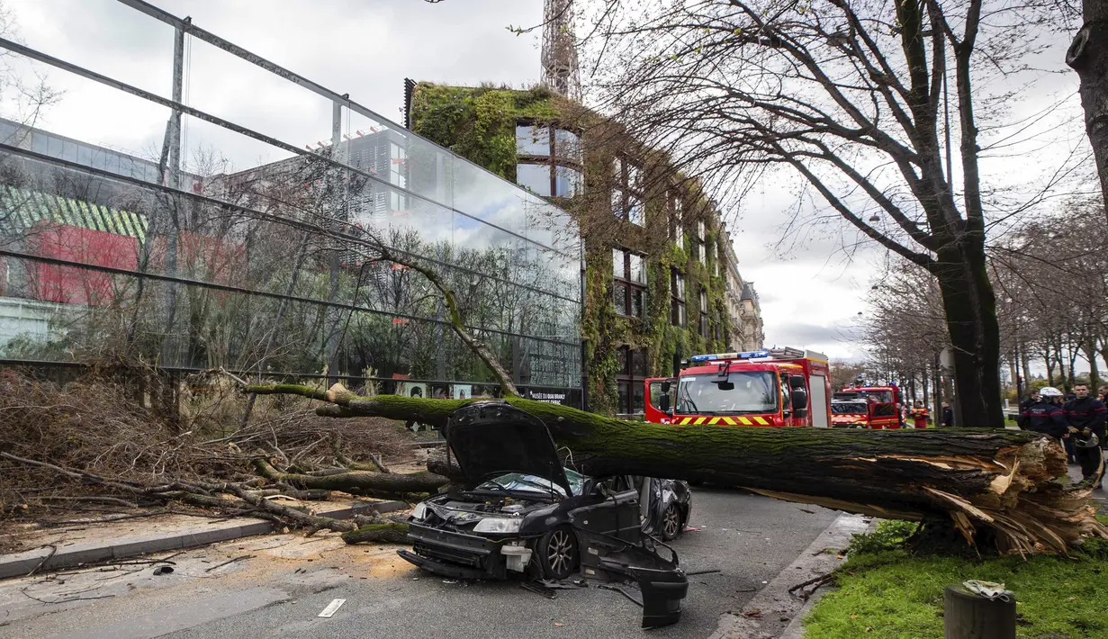 Sebuah mobil yang tertimpa pohon besar di Paris, Kamis (27/2/2020).  Angin kencang menumbangkan pohon besar hingga menimpa sebuah mobil di dekat Menara Eiffel dan menewaskan pengemudi di tempat. (Benoit Moser/BSPP via AP)