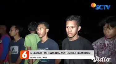 Seorang petani di Desa Pacing, Kecamatan Padas, Kabupaten Ngawi, Jawa Timur, ditemukan tewas tersetrum akibat aliran listrik dari jebakan tikus yang ia pasang sendiri di sawah. Polisi yang datang ke lokasi menyita gulungan kawat listrik sebagai baran...