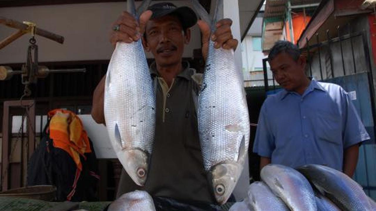 Jelang Imlek, harga Ikan Bandeng mengalami kenaikan
