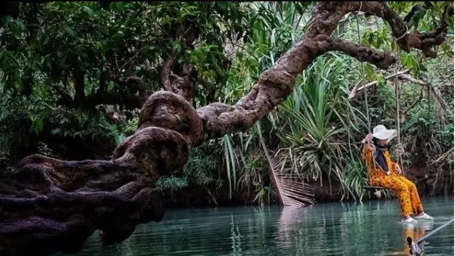 Menengok Sungai di Pacitan yang Dianggap Mirip Amazon