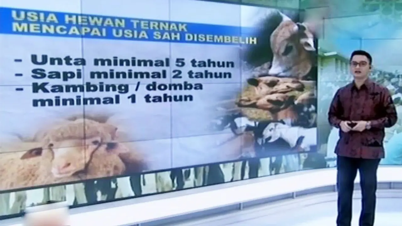 Segmen 5: Syarat Sah Kurban hingga Melempar Jumrah