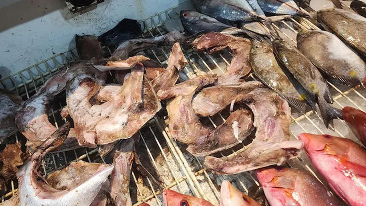 10 Rekomendasi Tempat Makan Ikan Bakar di Manado, Nikmati Kelezatan Cita Rasa Bumbu Khasnya