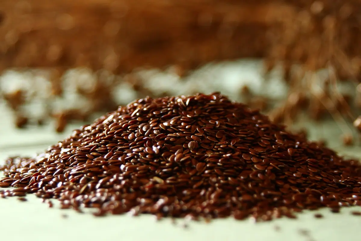 [Fimela] Flaxseed