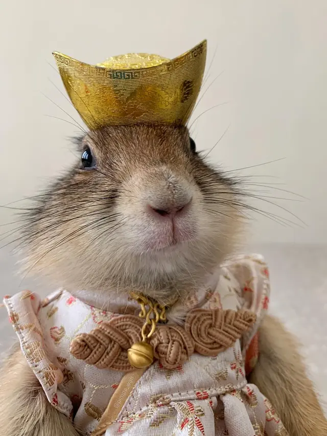 Pimpa Wan