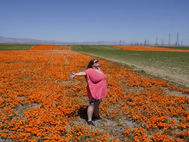 Laila Treadwell, yang berkunjung dari Atlanta, berpose untuk foto di ladang bunga poppy yang bermekaran di dekat Antelope Valley California Poppy Reserve, pada 10 April 2023, di Lancaster, California. (AP Photo/Marcio Jose Sanchez)
