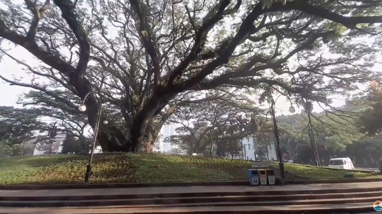 Arena Playground yang Menyenangkan