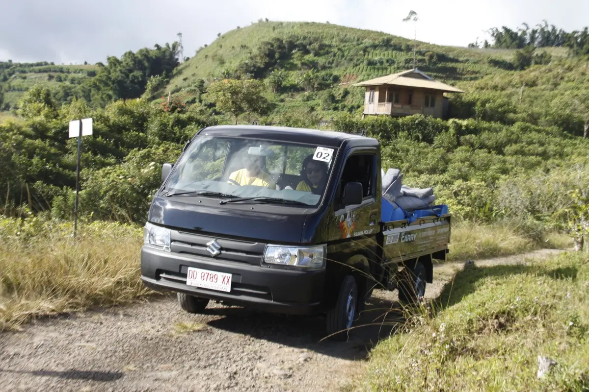 Suzuki Carry Pick Up