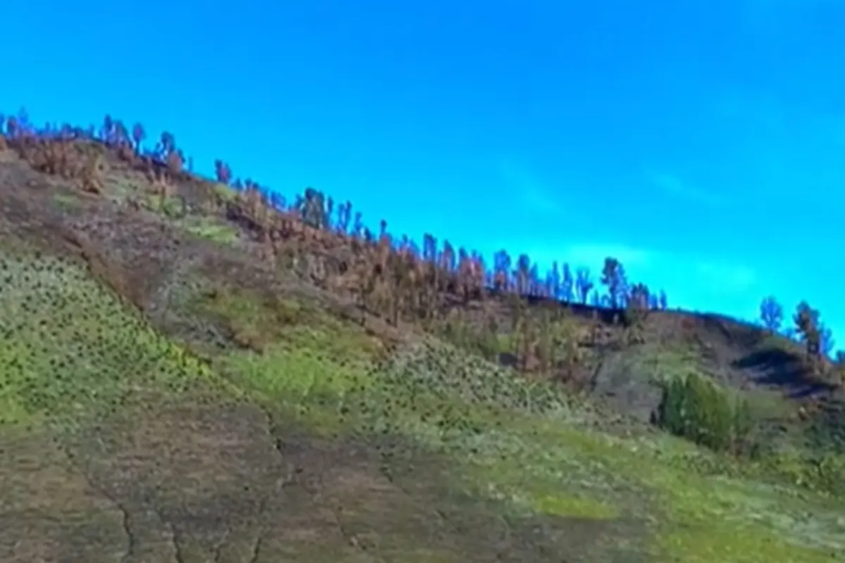 Savana Bromo