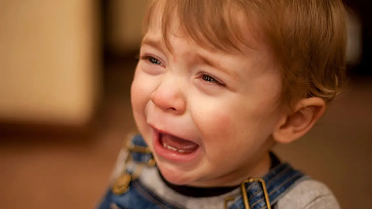 foto: copyright thinkstockphotos.com