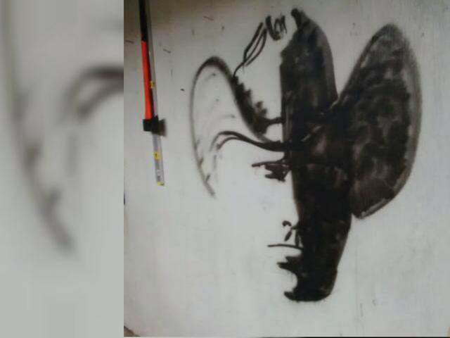 Tebak Gambar Apa Di Balik Coretan Dinding Ini Global Liputan6 Com