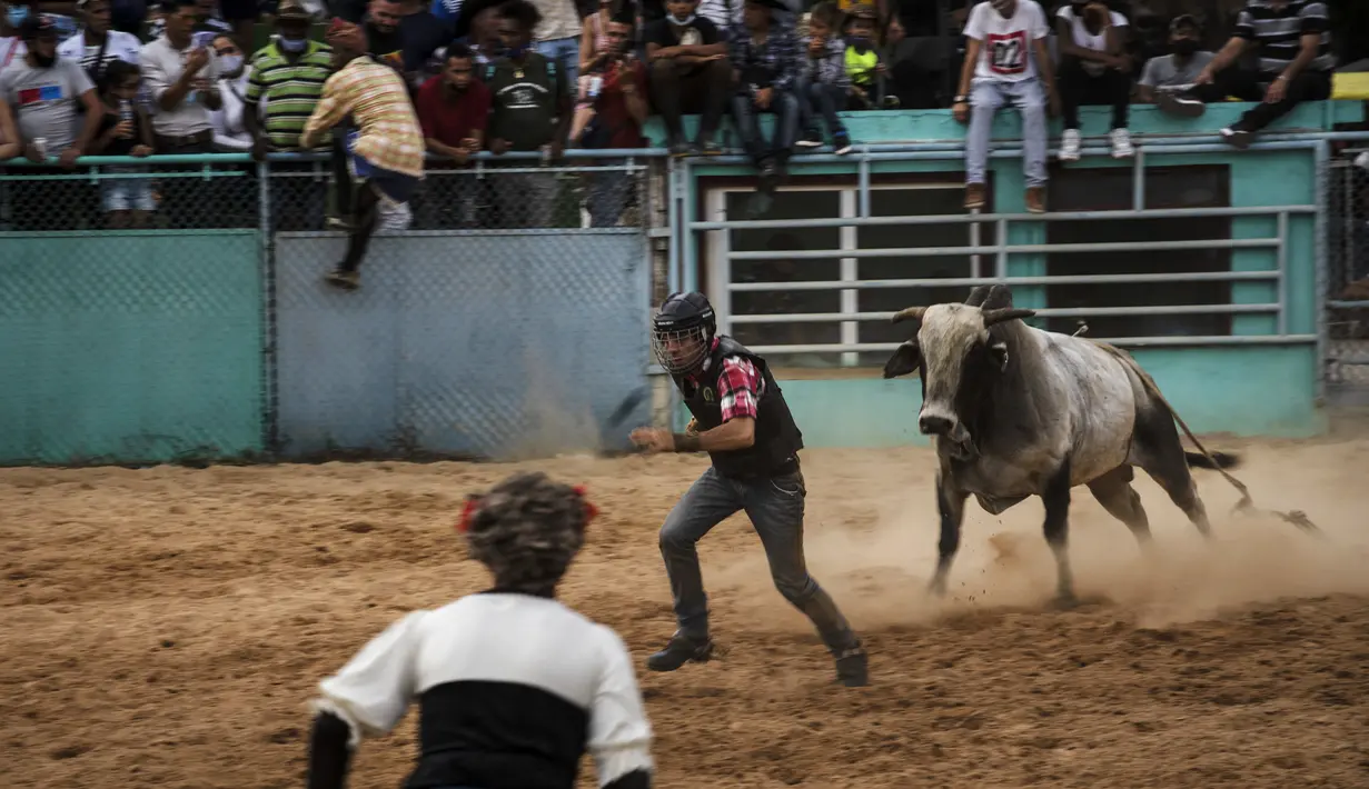 Badut rodeo mencoba mengalihkan perhatian banteng setelah penunggangnya terjatuh saat bertanding di pameran rodeo Boyeros Cattlemen di Pameran Pertanian Internasional Fiagrop 2022 di Havana, Kuba (8/4/2022). Rodeo di Kuba adalah tradisi yang berusia lebih dari dua abad. (AP Photo/Ramon Espinosa)