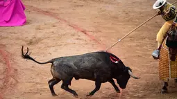 Seorang matador menusukkan tombaknya ke seekor banteng dalam saat bertarung dalam Festival San Fermin, Pamplona, Spanyol, Selasa (9/7/2019). (AP Photo/Alvaro Barrientos)