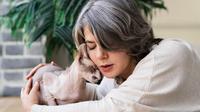 The most friendly and affectionate cat breeds that are loved to cuddle (Photo: Freepik)