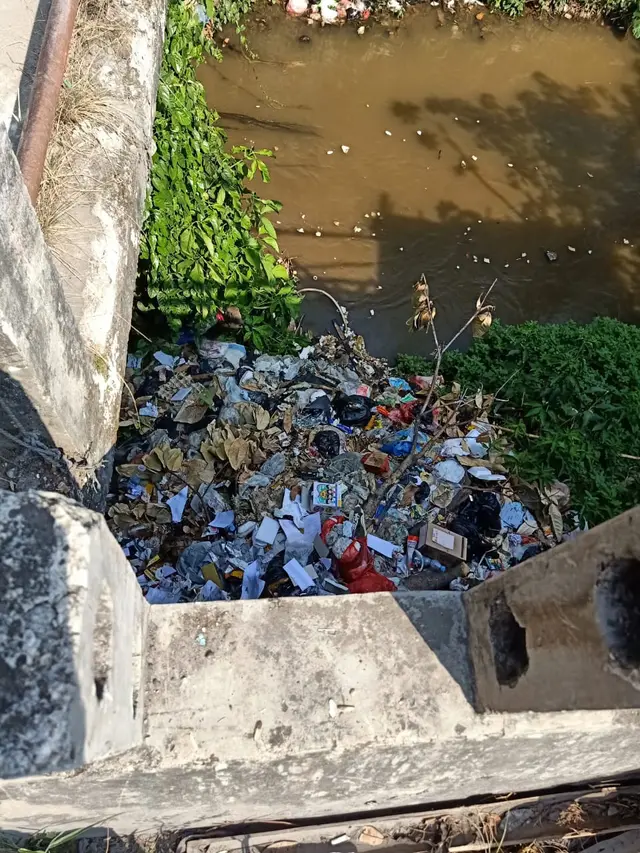 Pandawara Group Pimpin Influencer Bersihkan Sampah di Sungai Bogor: Hati-Hati Ular Berbisa