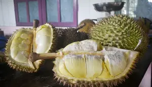 Daftar Buah Tinggi Gula yang Sebaiknya Dibatasi saat Promil