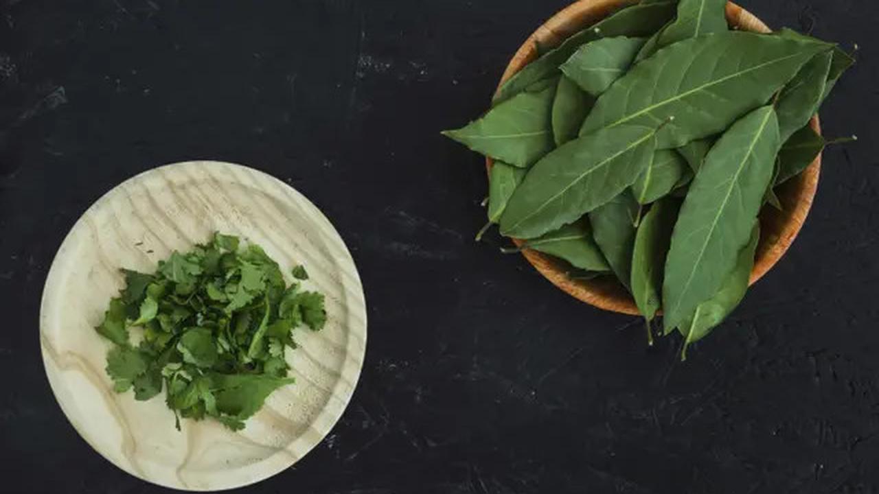 Dua Daun Herbal Ini Mampu Turunkan Kolesterol dan Gula Darah, Simak Manfaat Lengkapnya