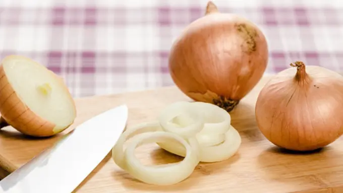 Copyright by Shutterstock.com