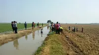 Kementerian Pertanian (Kementan) melakukan respon cepat menanggapi berita dari Bojonegoro mengenai bahaya penggunaan stroom listrik untuk mengendalikan tikus di sawah.