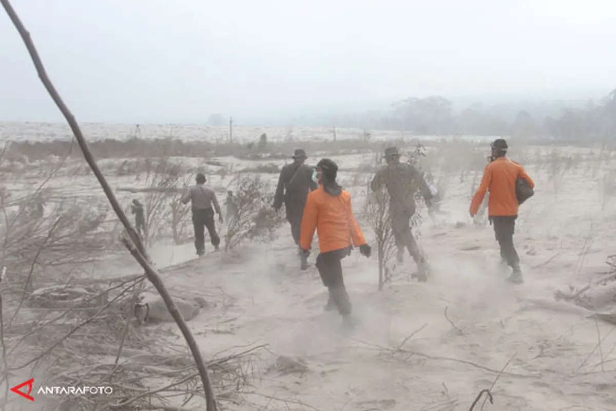 pencarian-sinabung-140203c.jpg