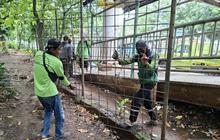 Pemkot Jakarta Timur Tutup Permanen Akses Taman Kota Cawang Diduga Jadi Lokasi Prostitusi