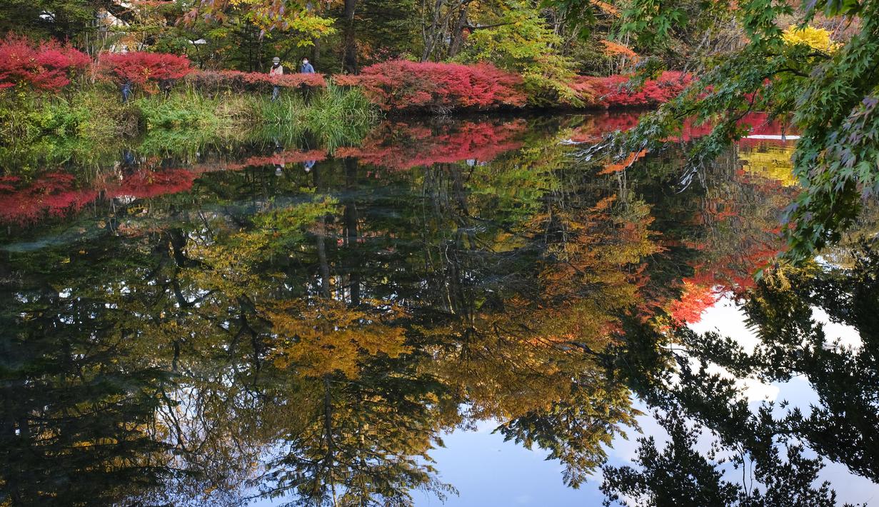 Orang-orang yang memakai masker untuk membantu mengekang penyebaran virus corona berfoto sambil berjalan di sepanjang jalan setapak saat pepohonan mulai berubah warna dedaunan musim gugur di Nagano, barat laut Tokyo, Jepang, Senin (26/10/2020). (AP Photo/Kiichiro Sato)