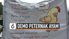 Ratusan peternak ayam menggelar demonstrasi di depan Kementerian Perdaganan. Mereka menuntut agar Kemendag membuat regulasi jelas soal penjualan ayam dan pakan ternak.