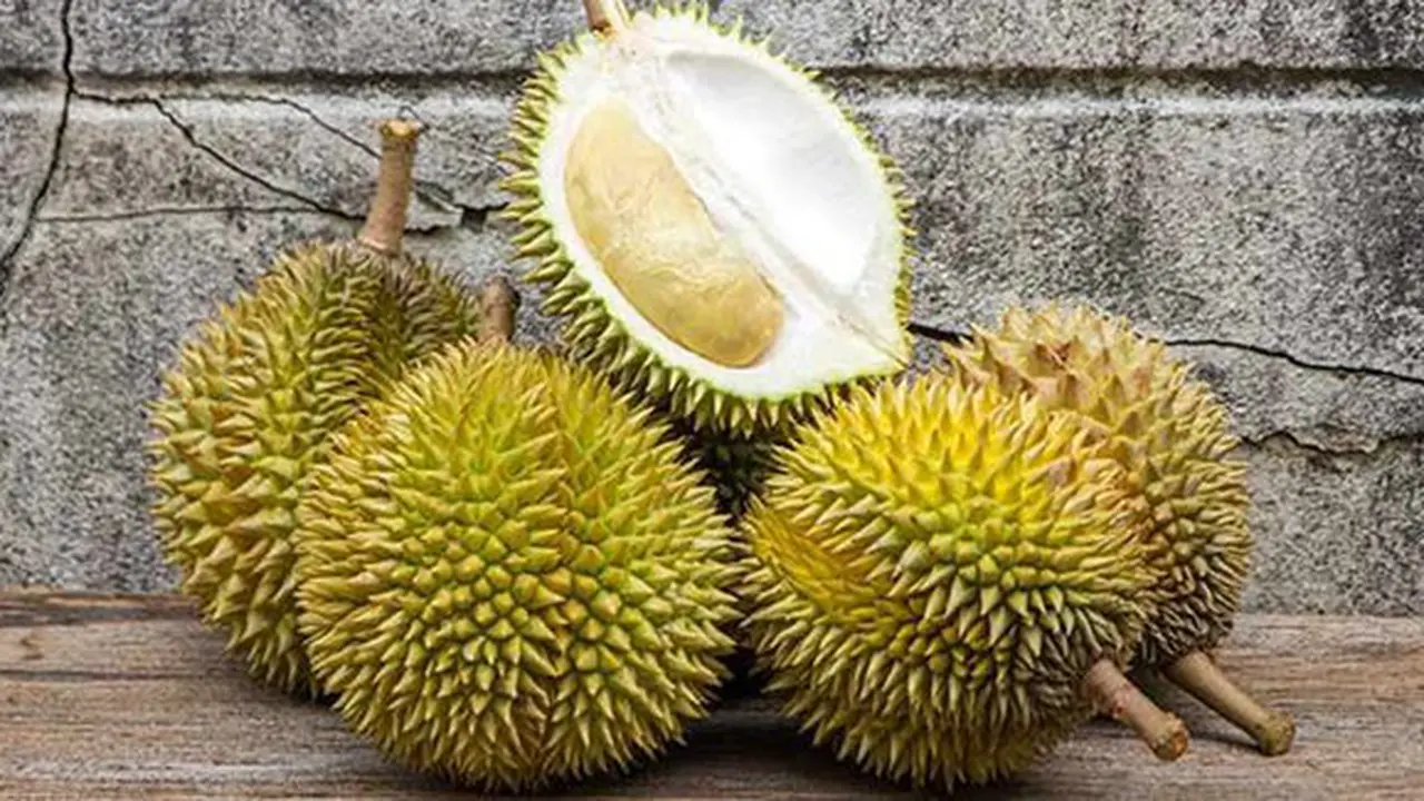 Buah Durian/copyright shutterstock.com