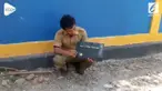 Seorang guru honorer yang telah mengajar lebih dari sepuluh tahun frustasi setelah tak diterima CPNS. Ia nekat membakar ijazahnya  sendiri.