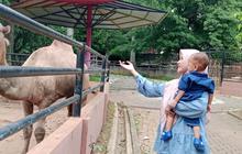 Semarang Zoo Targetkan 60.000 Wisatawan Selama Libur Lebaran 1447 H dengan Program Baru