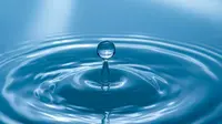 Water Quotes: Insightful Words That Speak to the Flow of Life