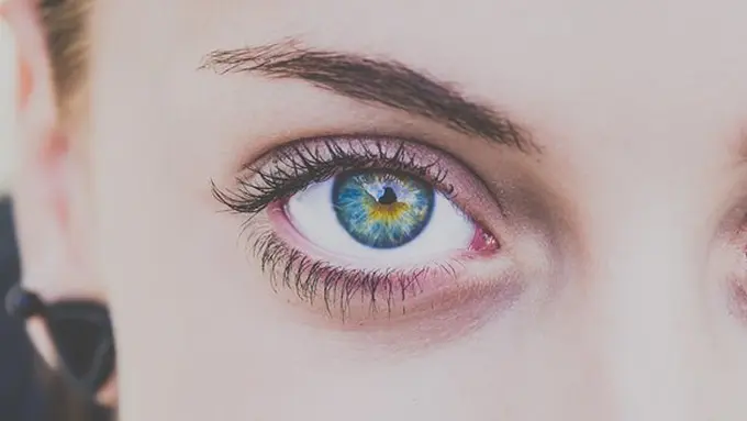 Copyright: pixabay.com