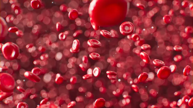 Blood Cell