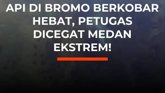Api di Bromo Berkobar Hebat, Petugas Dicegat Medan Ekstrem!
