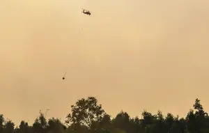 Helikopter Diterjunkan Atasi Kebakaran Lahan Gambut di Pulau Pisau