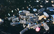 Ternyata Masyarakat Indonesia Mengonsumsi Plastik Tertinggi di Dunia, ini Efeknya Amat Mengerikan