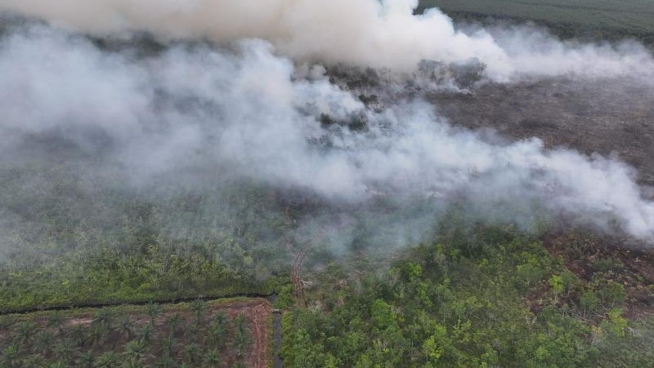 Manggala Agni Kemenhut Terus Berjuang Padamkan Karhutla Riau di Bengkalis dan Rohil