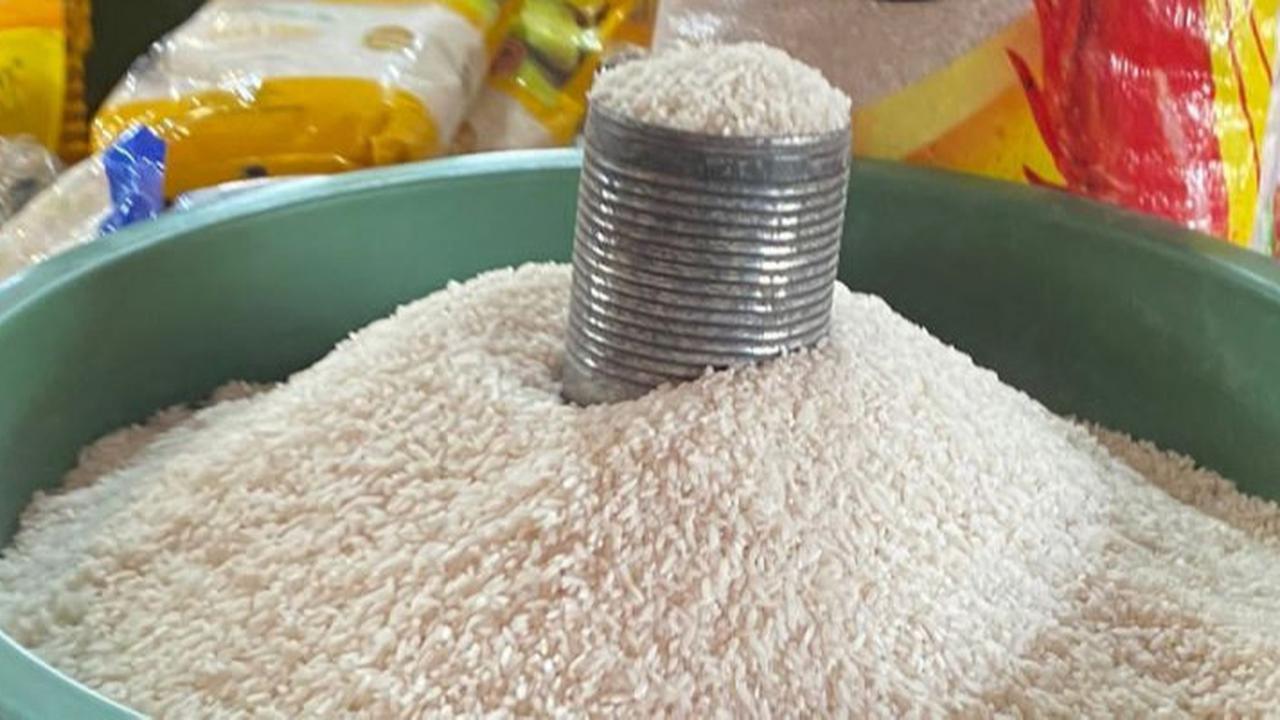 Ini Ciri-Ciri Beras Subsidi Dioplos Perlu Diketahui Konsumen